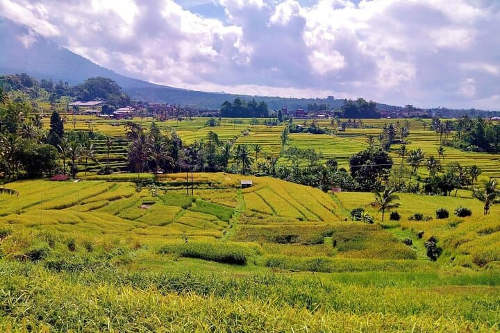 Full-Day Wonders of Bali: Ulun Danu, Gitgit Falls & Jatiluwih Rice Terraces photo 6