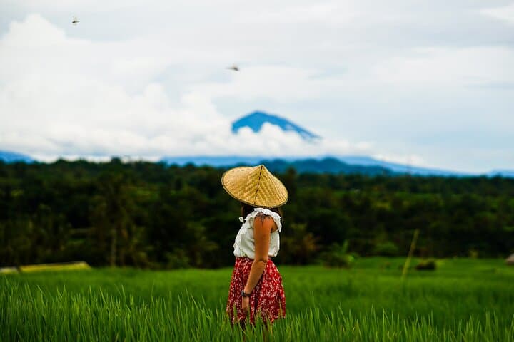 Full-Day Wonders of Bali: Ulun Danu, Gitgit Falls & Jatiluwih Rice Terraces photo 5