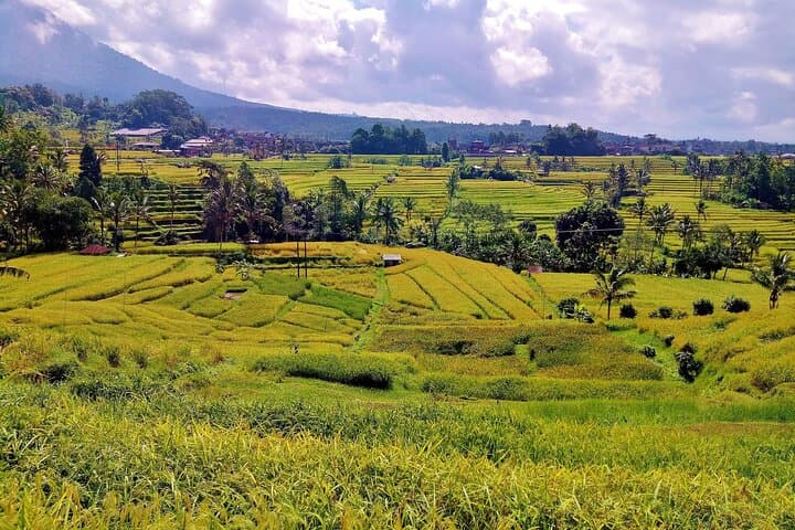 Full-Day Wonders of Bali: Ulun Danu, Gitgit Falls & Jatiluwih Rice Terraces photo 4