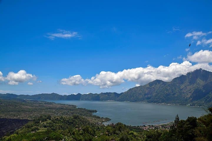Full-Day Bali Cultural & Scenic Introduction: Ubud, Goa Gajah, Kintamani & Tegalalang photo 3