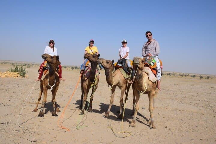 Sun to Stars: Full-Day Dune Ride & Overnight Camel Safari in the Thar Desert photo 3