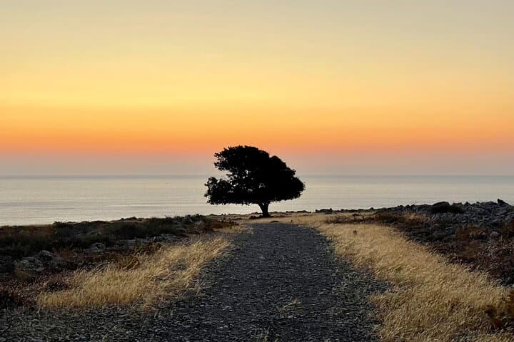 Sunrise Hike from Pefkos to Navarone Bay — Small-Group Coastal Walk photo 3