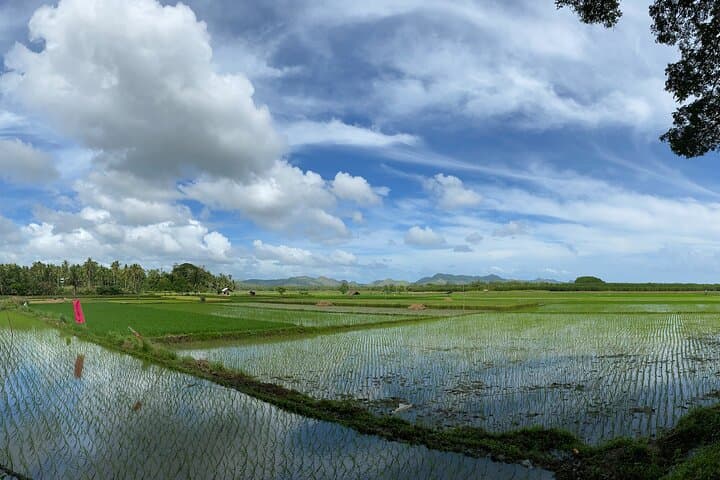 Can-Umantad Falls and Cadapdapan Rice Terraces Eco Tour — Bohol Day Trip photo 4