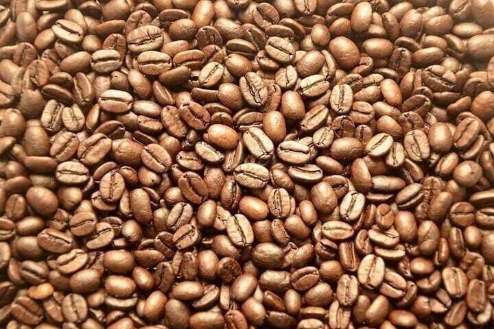 Fairview Coffee Farm Private Tour from Nairobi — Plantation, Processing & Cupping photo 6