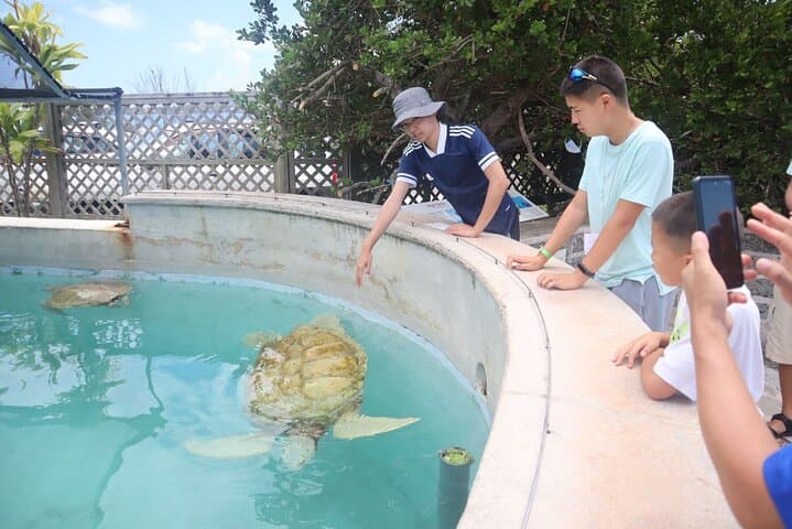 Bermudaful Half-Island Tour: Western Bermuda Highlights from Dockyard to Pink Sand Beaches photo 3