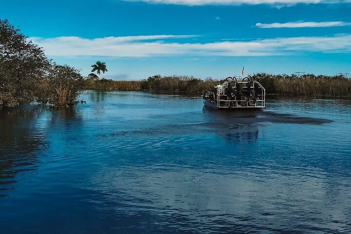 Everglades 60-Minute Airboat Ride from Miami — Small Group with Pro Guide photo 6