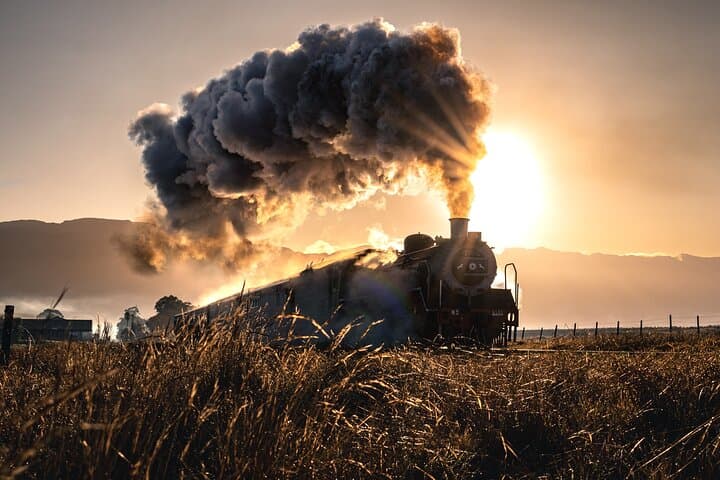 Steam Train to Elgin Railway Market — Cape Town Vintage Rail Day Trip