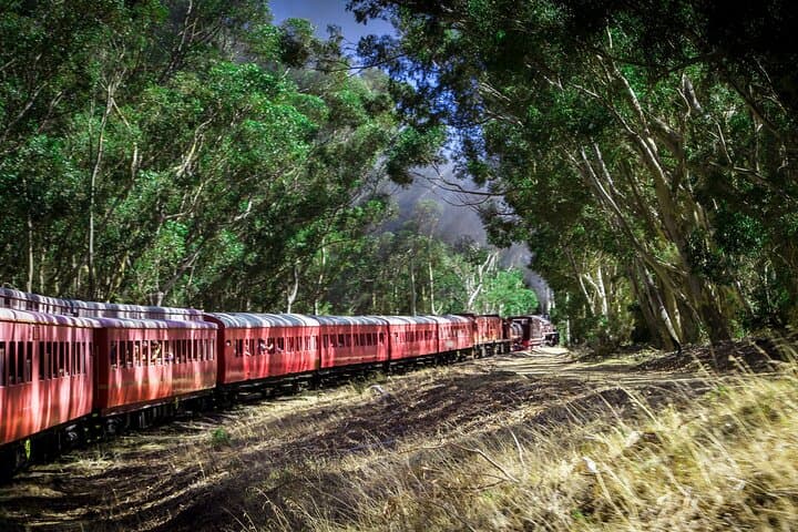 Steam Train to Elgin Railway Market — Cape Town Vintage Rail Day Trip photo 5