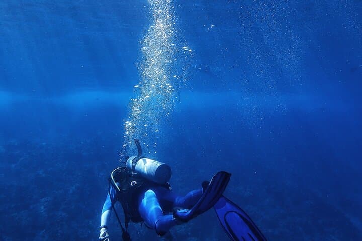 Ras Mohamed Snorkeling Adventure from Sharm El Sheikh photo 5