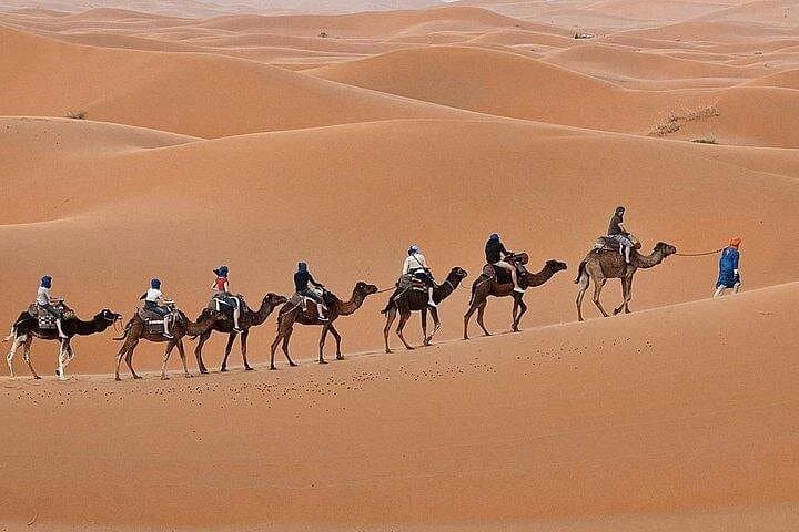 Luxury Sahara Desert Trip from Fez: 2-Day Erg Chebbi Camel Trek & Private Berber Camp photo 5