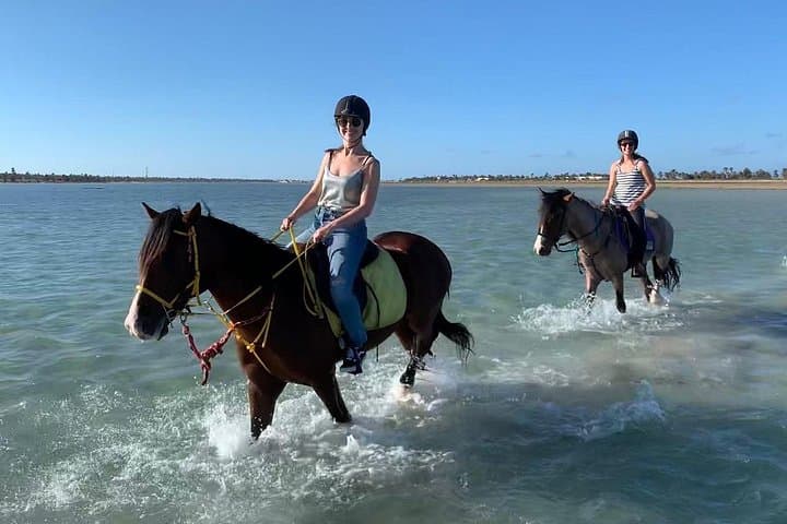 Horseback Riding in Djerba Lagoon — 2-Hour Coastal Horseback Tour in Djerba, Tunisia photo 2