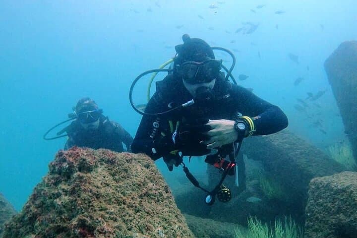 Fujairah Scuba Diving Day Trip from Dubai — Coral Reefs, Turtles & Two Dives