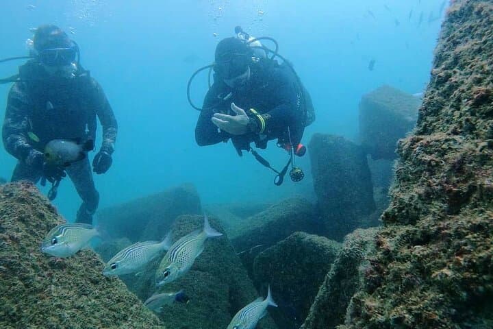 Fujairah Scuba Diving Day Trip from Dubai — Coral Reefs, Turtles & Two Dives photo 4