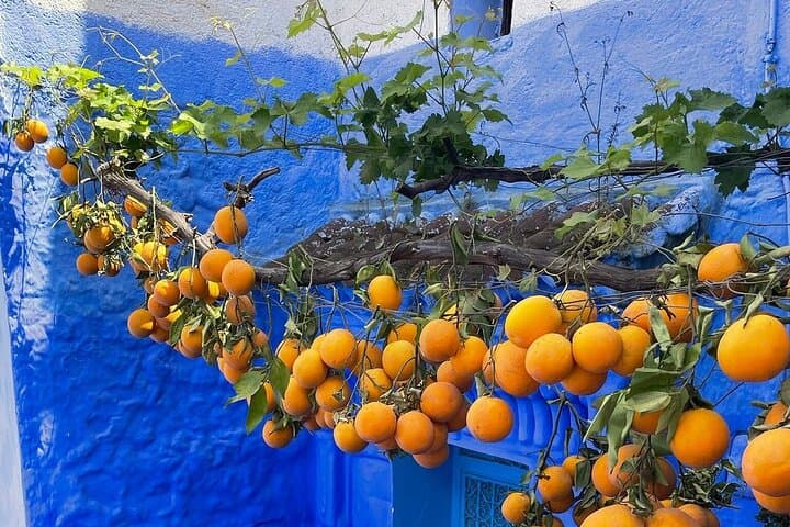 Full-Day Chefchaouen Blue City Tour from Fez – Small-Group Day Trip photo 6