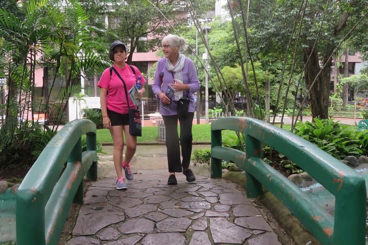 Downtown San José Walking Tour — 3-Hour Cultural & Historic Highlights photo 4