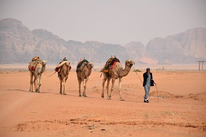 Full-Day Petra and Wadi Rum Tour from Amman: See Petra & Wadi Rum in One Day photo 4