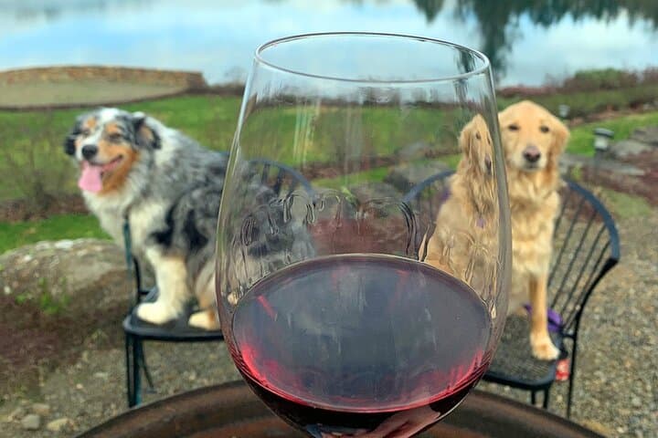 Private Willamette Valley Wine Excursion from Portland photo 6