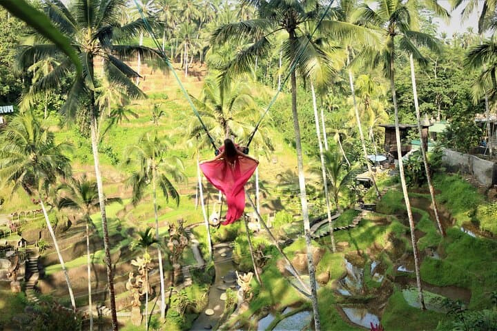Private Ubud Waterfalls & Iconic Swing Tour — Full-Day from Bali photo 6
