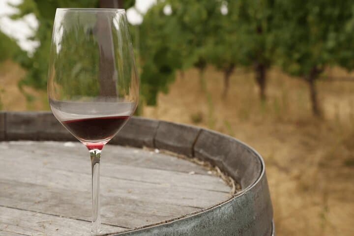 Private Napa and Sonoma Wine Country Tour from San Francisco photo 3