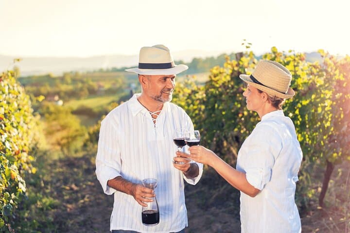 Private Napa and Sonoma Wine Country Tour from San Francisco photo 4