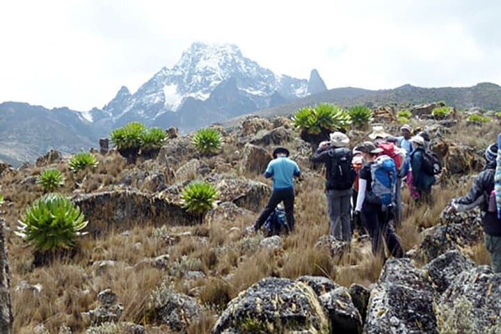 Mount Kenya Treks — Equatorial Peaks, Afro‑Alpine Hikes & Safari Extensions photo 3