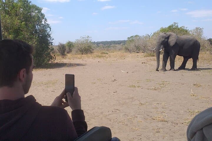 Elephant Encounter at Victoria Falls: 2-Hour Safari Day Tour Guide photo 2