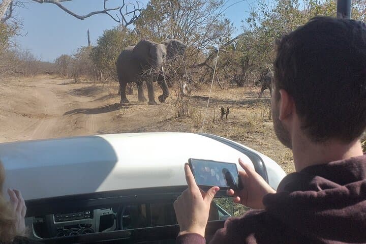 Elephant Encounter at Victoria Falls: 2-Hour Safari Day Tour Guide photo 6