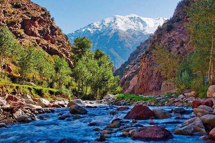 Ourika Valley Day Trip From Marrakech: Waterfalls, Berber Villages & Atlas Views photo 1