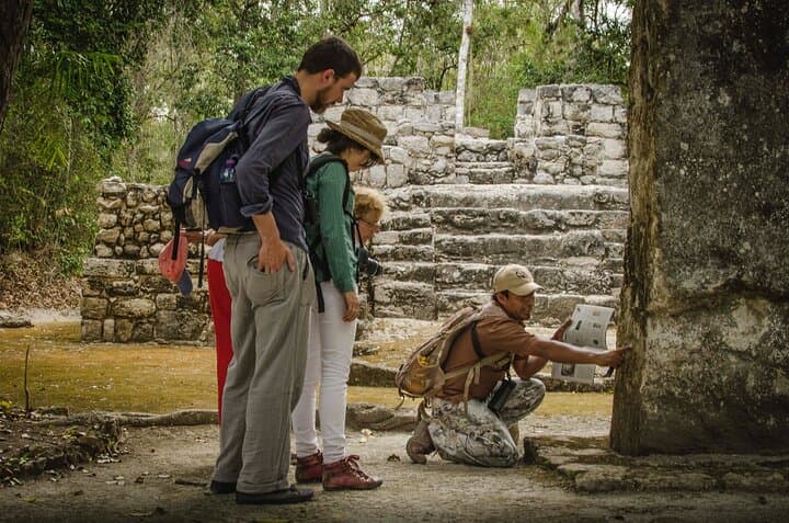 Calakmul Ancient Maya Ruins Day Tour from Campeche — Explore the Biosphere Reserve