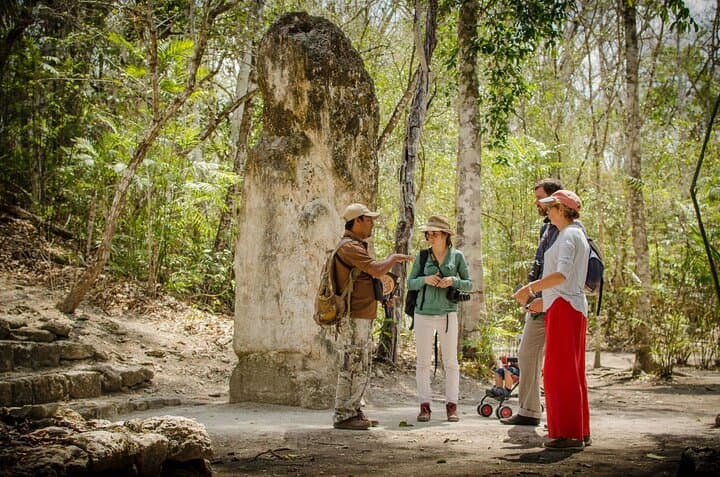 Calakmul Ancient Maya Ruins Day Tour from Campeche — Explore the Biosphere Reserve photo 6