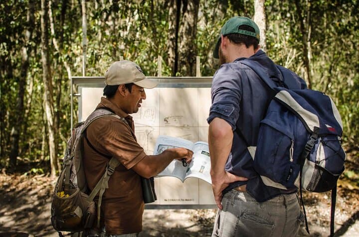 Calakmul Ancient Maya Ruins Day Tour from Campeche — Explore the Biosphere Reserve photo 3