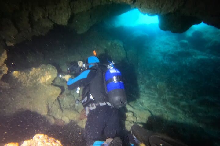 Terceira Azores Double Dive: Certified Scuba Adventures Around Angra do Heroísmo photo 5