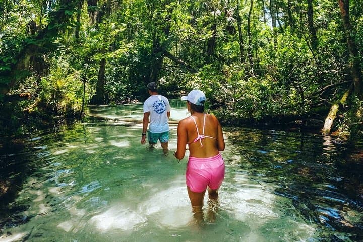 Rainbow River Clear Kayak & Snorkel Eco Tour — KP Hole Park Adventure photo 3