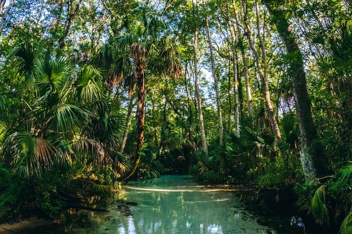 Rainbow River Clear Kayak & Snorkel Eco Tour — KP Hole Park Adventure photo 5