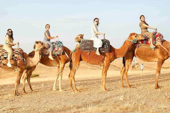 Atlas Mountains Day Trip to Imlil: Waterfalls, Berber Lunch & Camel Ride photo 1