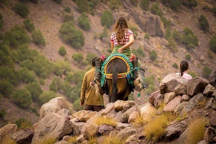 Atlas Mountains Day Trip to Imlil: Waterfalls, Berber Lunch & Camel Ride photo 2