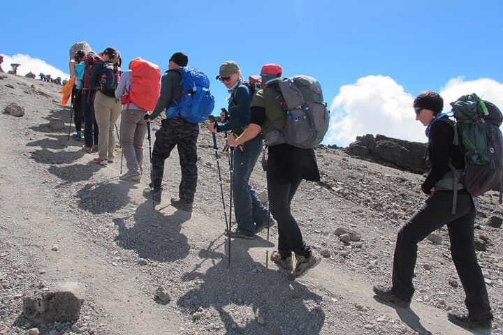 Conquering Kilimanjaro via the Lemosho Route: A Strategic High-Altitude Trek photo 3