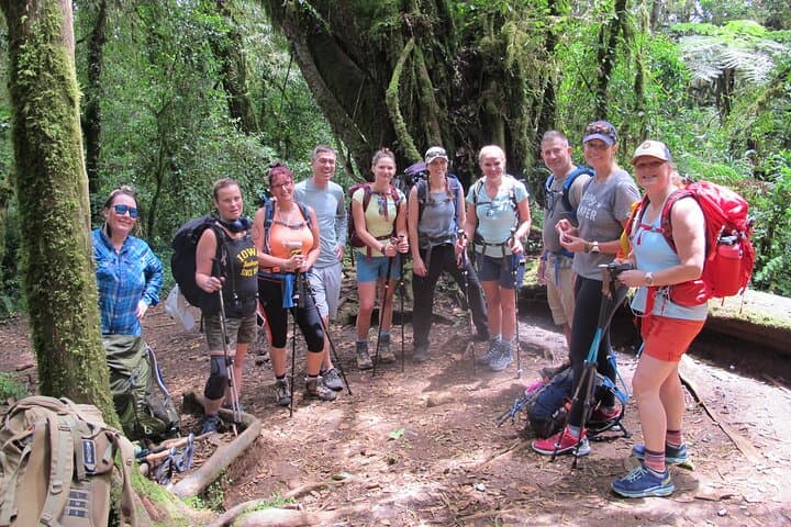 Conquering Kilimanjaro via the Lemosho Route: A Strategic High-Altitude Trek photo 4