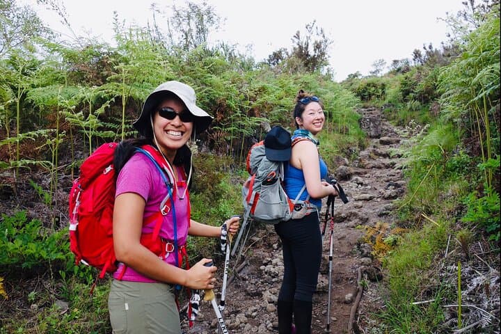 Conquering Kilimanjaro via the Lemosho Route: A Strategic High-Altitude Trek photo 6
