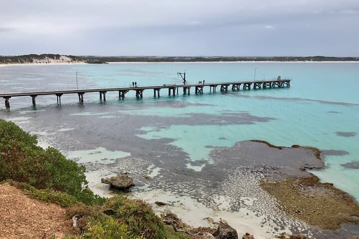 Kangaroo Island Shore Excursion: Scenic Trails, Seal Bay, and Flinders Chase in a Day photo 5