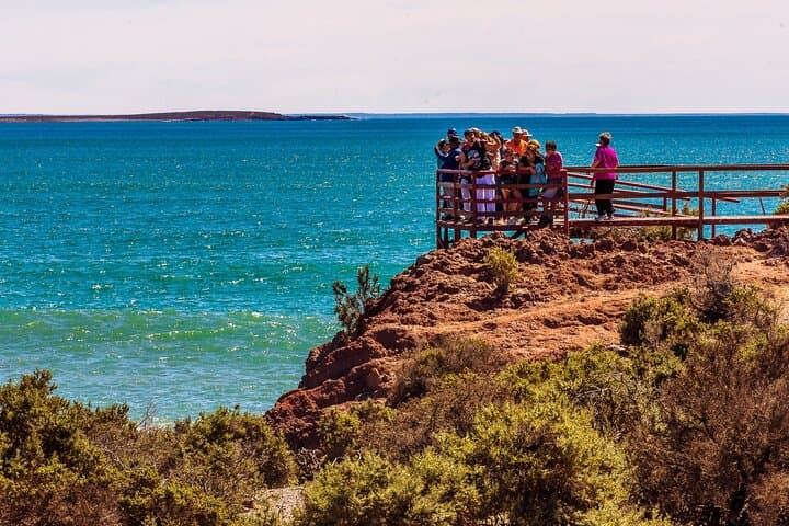 Peninsula de Valdes Wildlife Day Trip from Puerto Madryn photo 6