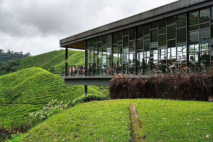 Cameron Highlands in a Day: Tea Plantations, Farms & Scenic Views