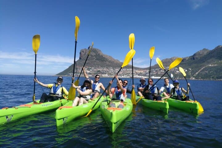 Guided Kayaking in Hout Bay: Seal Encounters & Chapman’s Peak Views photo 3