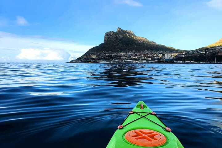 Guided Kayaking in Hout Bay: Seal Encounters & Chapman’s Peak Views photo 4
