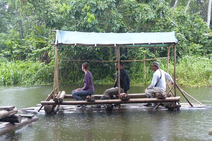 3-Day Amazon Jungle Tour from Cusco — Manu Rainforest, River Boat & Wildlife Lodge