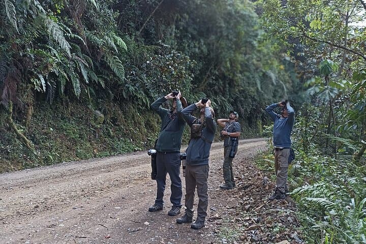 3-Day Amazon Jungle Tour from Cusco — Manu Rainforest, River Boat & Wildlife Lodge photo 2