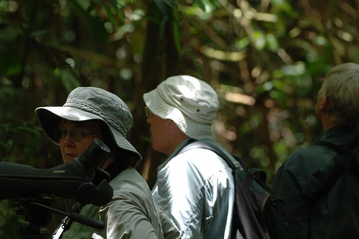 3-Day Amazon Jungle Tour from Cusco — Manu Rainforest, River Boat & Wildlife Lodge photo 4