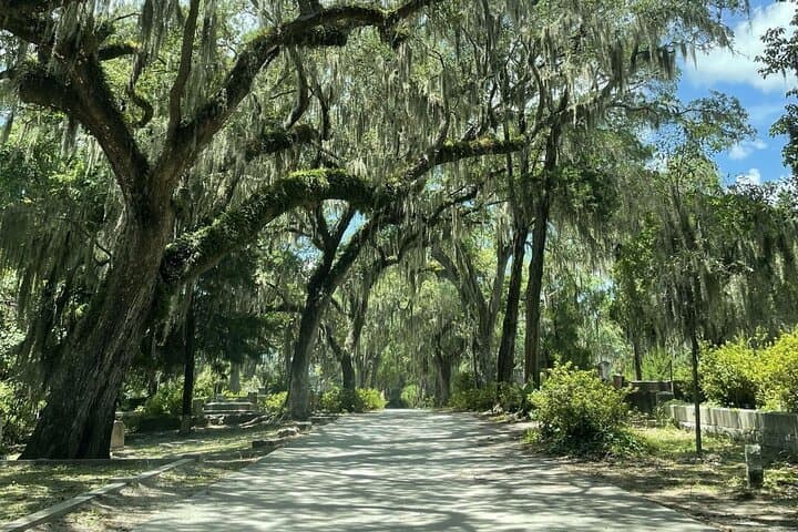Bonaventure Cemetery History Tour — Savannah Dark History Walk photo 4