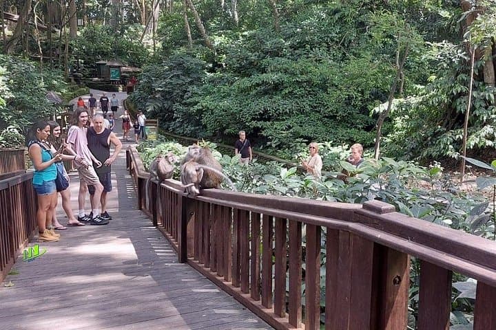 Ayung River Rafting and Ubud Private Day Tour — 10km Whitewater, Monkey Forest & Market photo 2