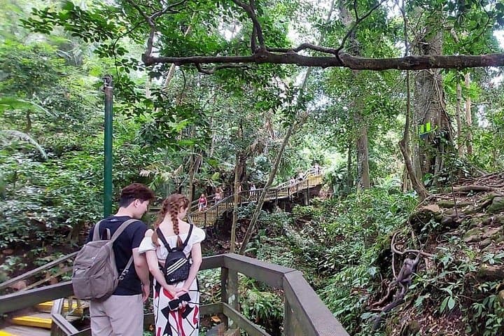 Ayung River Rafting and Ubud Private Day Tour — 10km Whitewater, Monkey Forest & Market photo 1